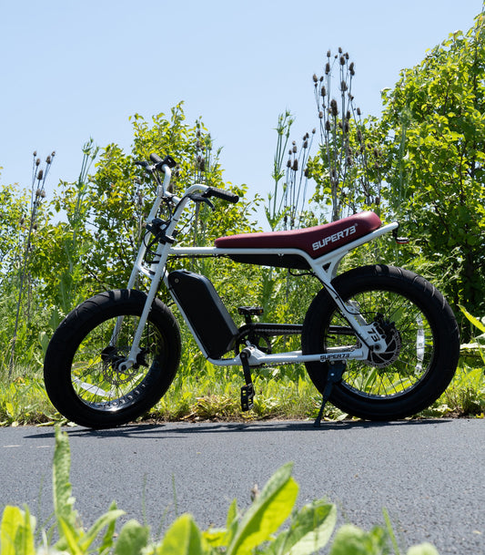 Super 73 z1 dual battery kit